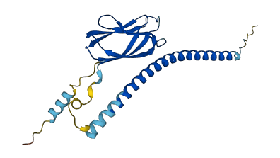 TMED3 3D structure