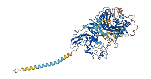 ADAM18 3D structure