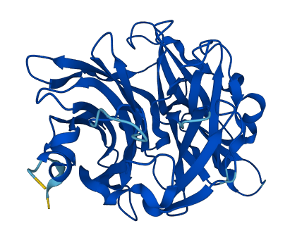 NEU2 3D structure