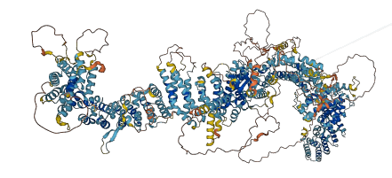 DOP1B 3D structure