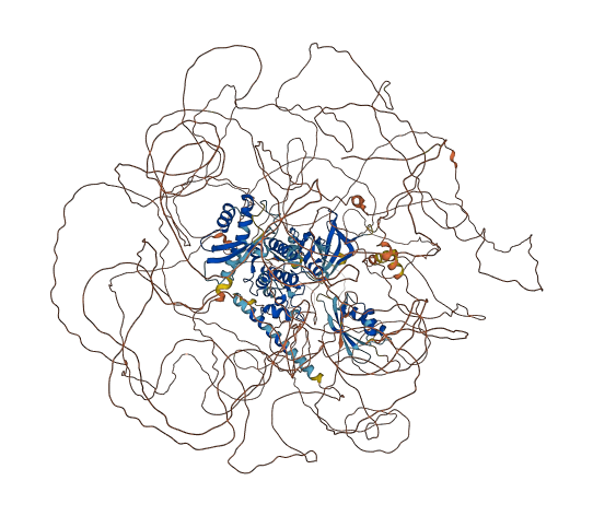WNK2 3D structure