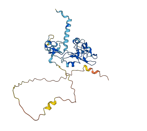 ZNF330 3D structure