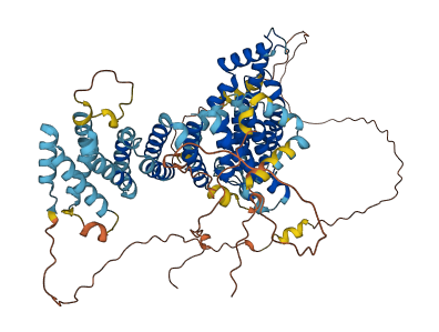 NOC2L 3D structure