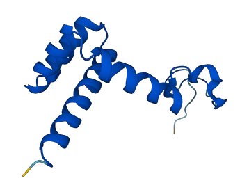 RPL36 3D structure