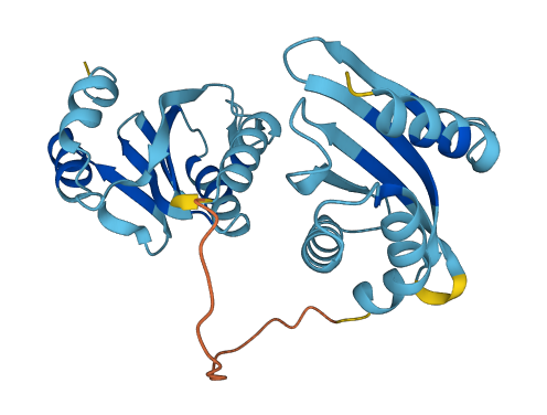 RWDD3 3D structure