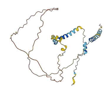CHTOP 3D structure