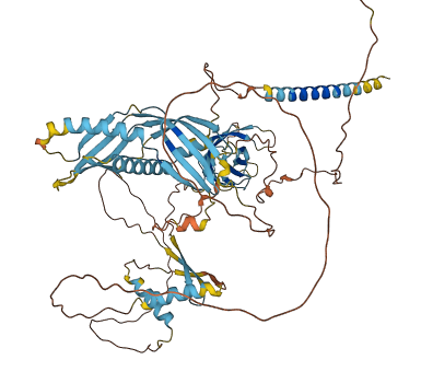 C2CD2 3D structure