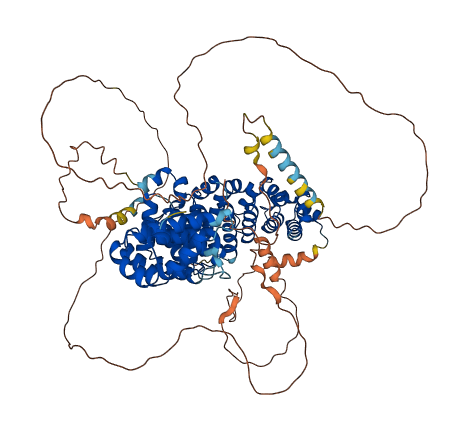 PKP3 3D structure