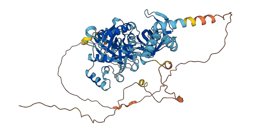 HBS1L 3D structure