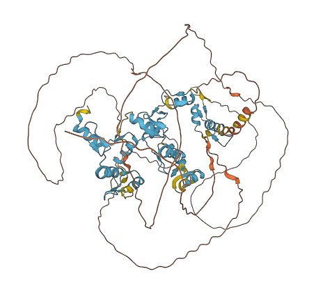 ZNF711 3D structure