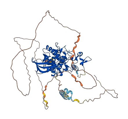 DYRK1B 3D structure
