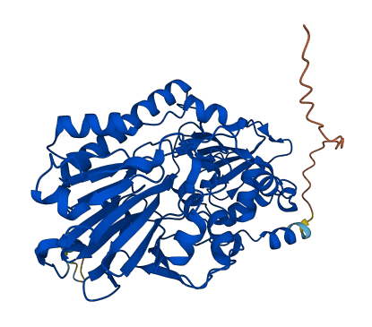 CMAHP 3D structure