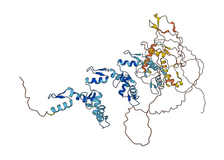 ZNF175 3D structure