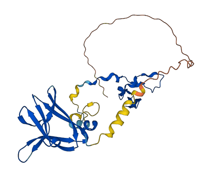 PRKAB1 3D structure