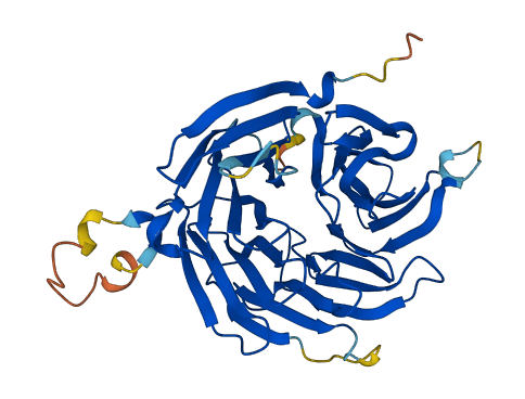 WDR45 3D structure