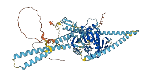 KIF3A 3D structure