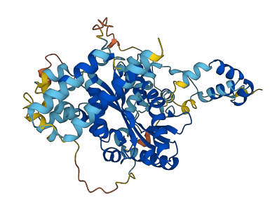 JRKL 3D structure