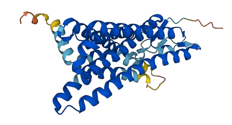 OR10H1 3D structure