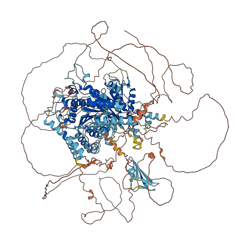 RAD54L2 3D structure