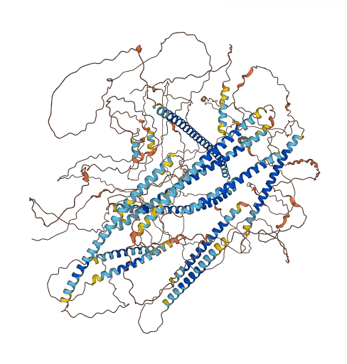 MTCL1 3D structure