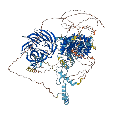 DCAF1 3D structure