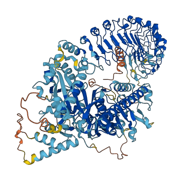 MFHAS1 3D structure