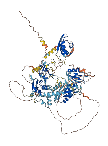 RBM19 3D structure