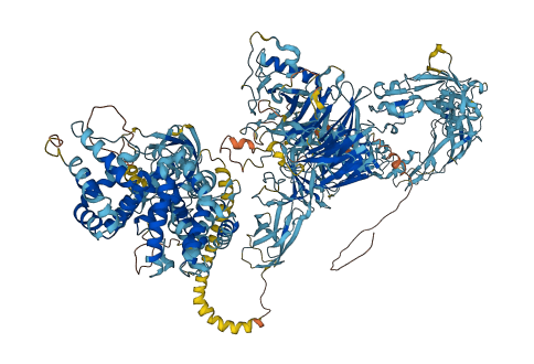 PLXND1 3D structure
