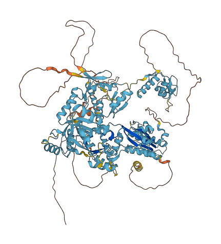 ZNF451 3D structure