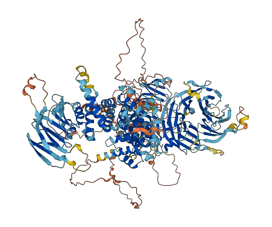 WDR7 3D structure