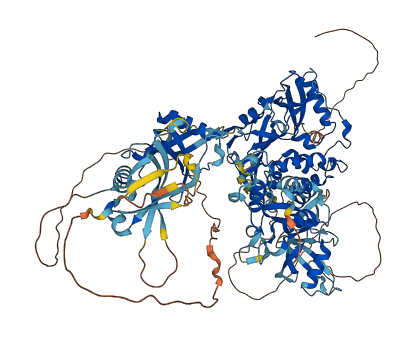 USP15 3D structure