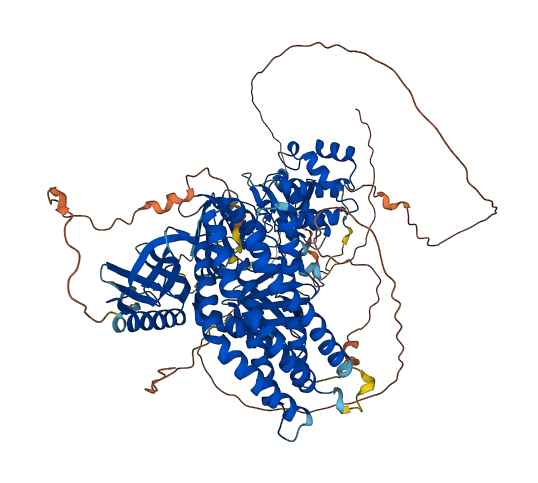 FARP1 3D structure