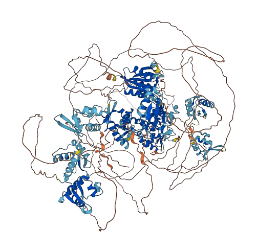 MARF1 3D structure