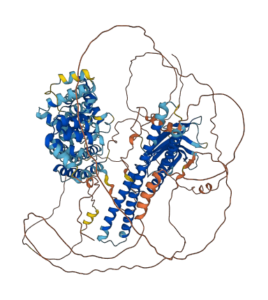 RIPOR2 3D structure