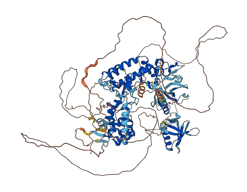 PLEKHM1 3D structure