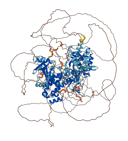 RAPGEF2 3D structure