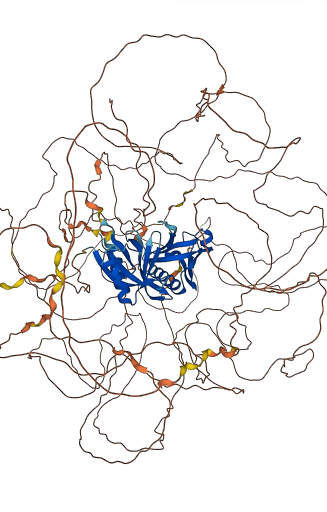 IRS2 3D structure