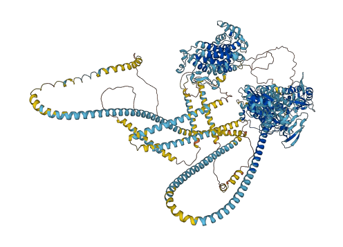MYO5A 3D structure