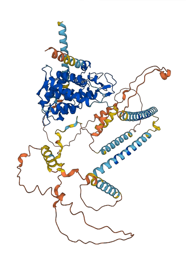 DTNA 3D structure
