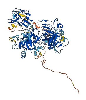 LOXL2 3D structure