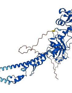 TRAF6 3D structure