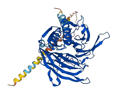 TBL2 3D structure