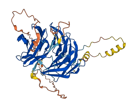 WIPI2 3D structure