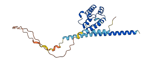 SPEF1 3D structure