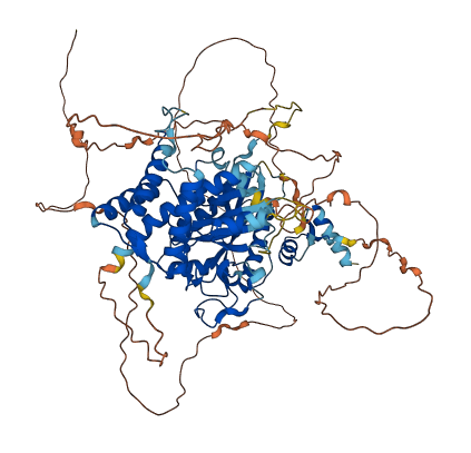 TTLL3 3D structure