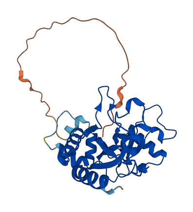 MMACHC 3D structure