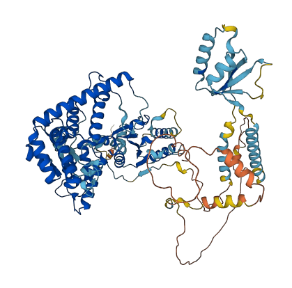 AFG3L2 3D structure