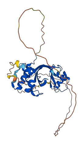 AMMECR1 3D structure