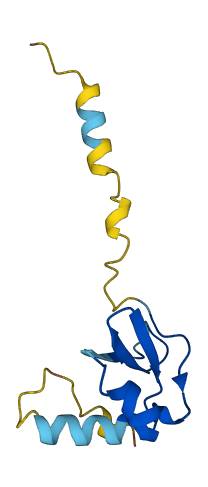 CCL27 3D structure