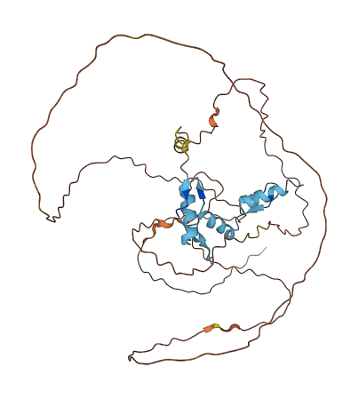 KLF12 3D structure